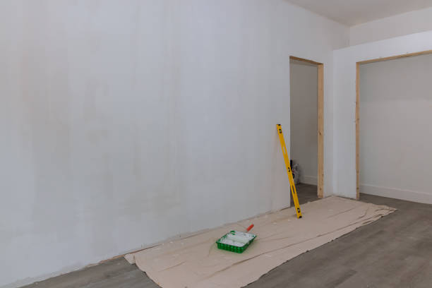 Best Drywall for Remodeling  in Ely, IA