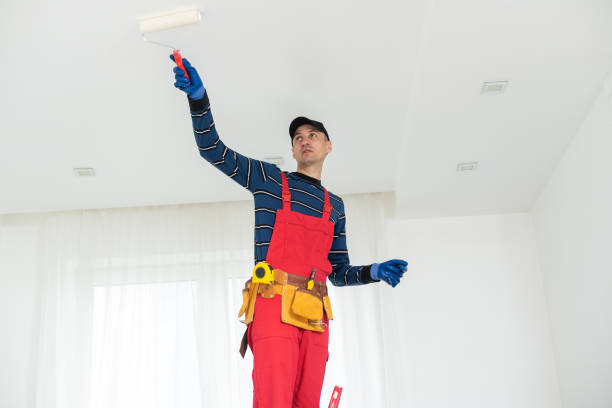 Trusted Ely, IA Dry wall and painting Experts