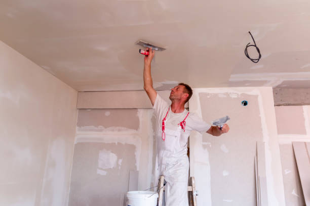 Best Drywall Repair  in Ely, IA