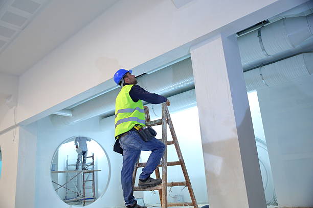 Best Drywall Texturing  in Ely, IA